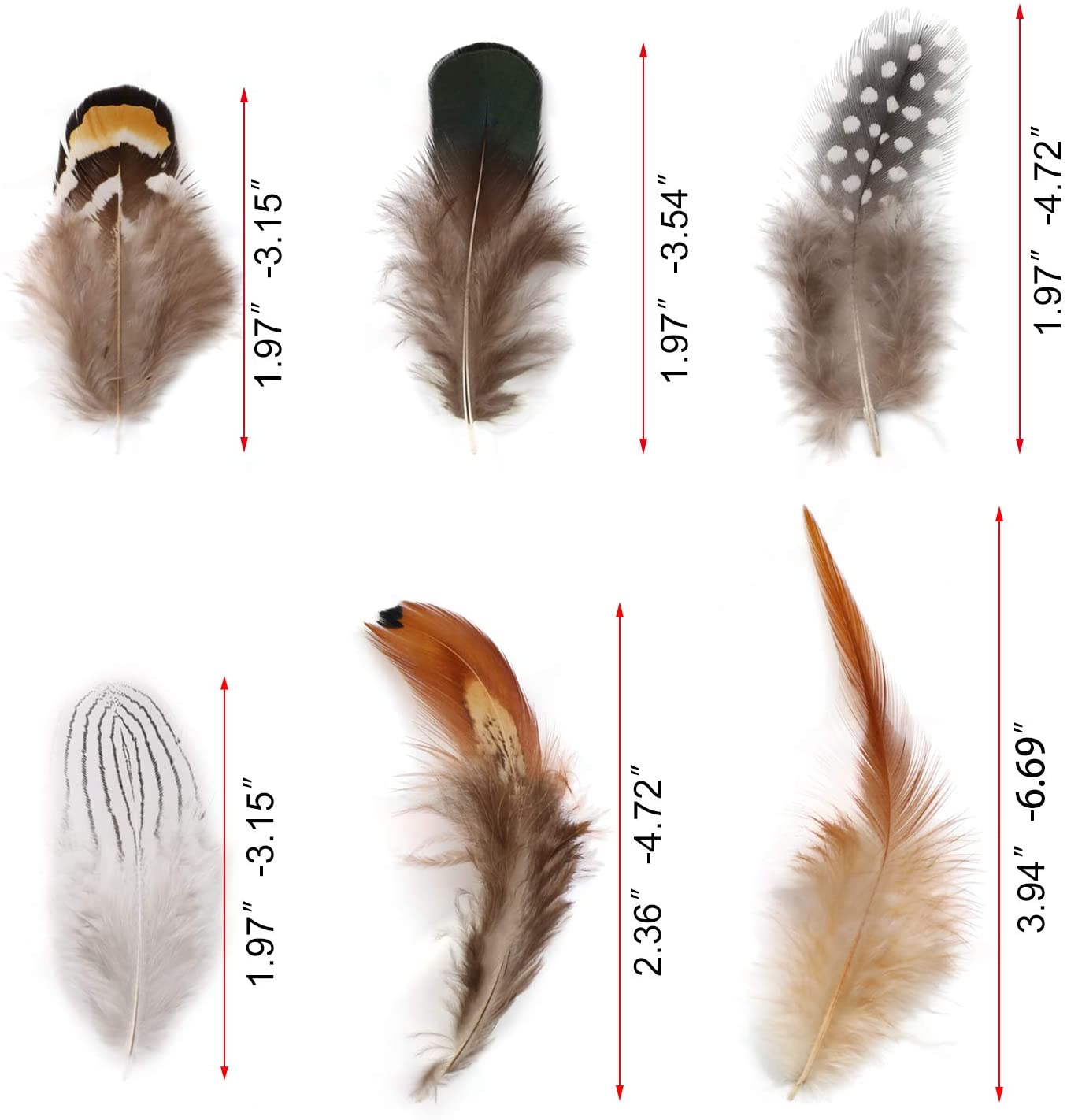 180Pcs Assorted Feathers, 6 Styles Natural Chicken Feathers for DIY Crafts Earring Wings Dream Catcher Wedding Home Party Decorations