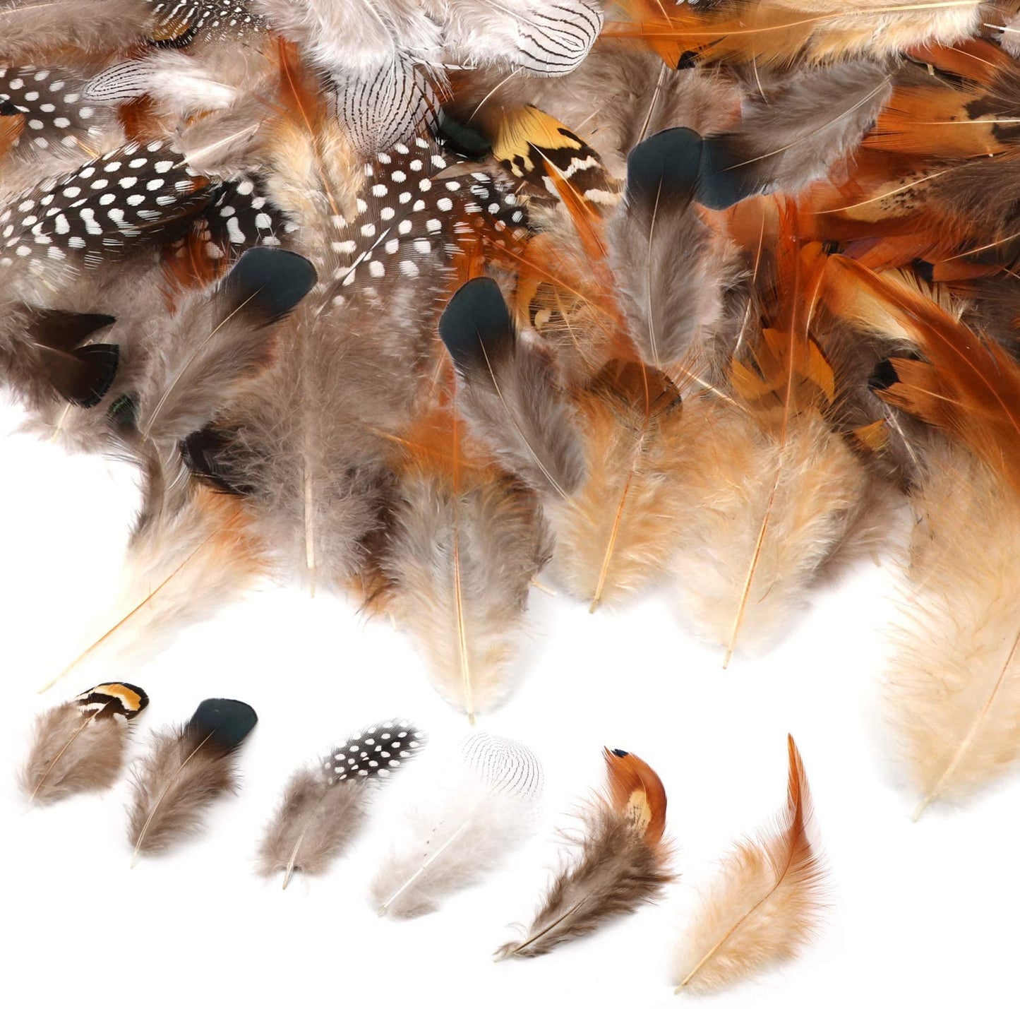 180Pcs Assorted Feathers, 6 Styles Natural Chicken Feathers for DIY Crafts Earring Wings Dream Catcher Wedding Home Party Decorations