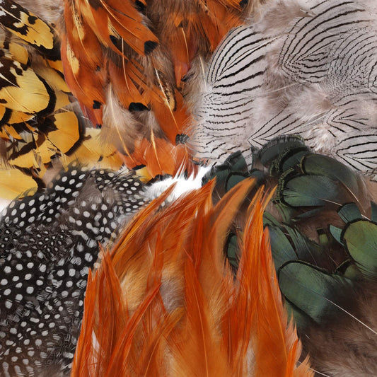 180Pcs Assorted Feathers, 6 Styles Natural Chicken Feathers for DIY Crafts Earring Wings Dream Catcher Wedding Home Party Decorations
