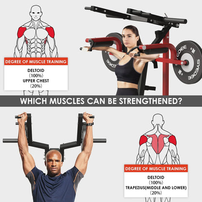 syedee Plate Loaded Deltoid and Shoulder Press Machine with Adjustable Seat and Backrest, 800 Weight Capacity Upper Body Machine for Shoulder Muscle