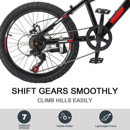 Ktaxon 20" Mountain Bike, Shimano 7 Speed Kids Bike for Boys Girls with Disc Brakes, Black