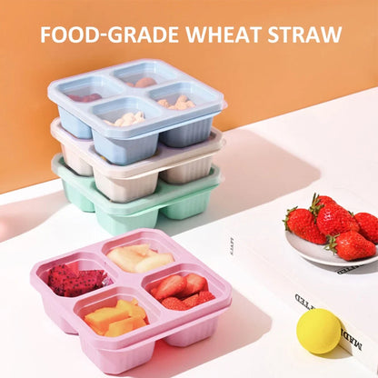 ARCTICICE 4 Packs Snack Containers Sets with Lid Reusable 4 Compartment Food Storage Containers Microwaveable Adult Kids Lunch Box