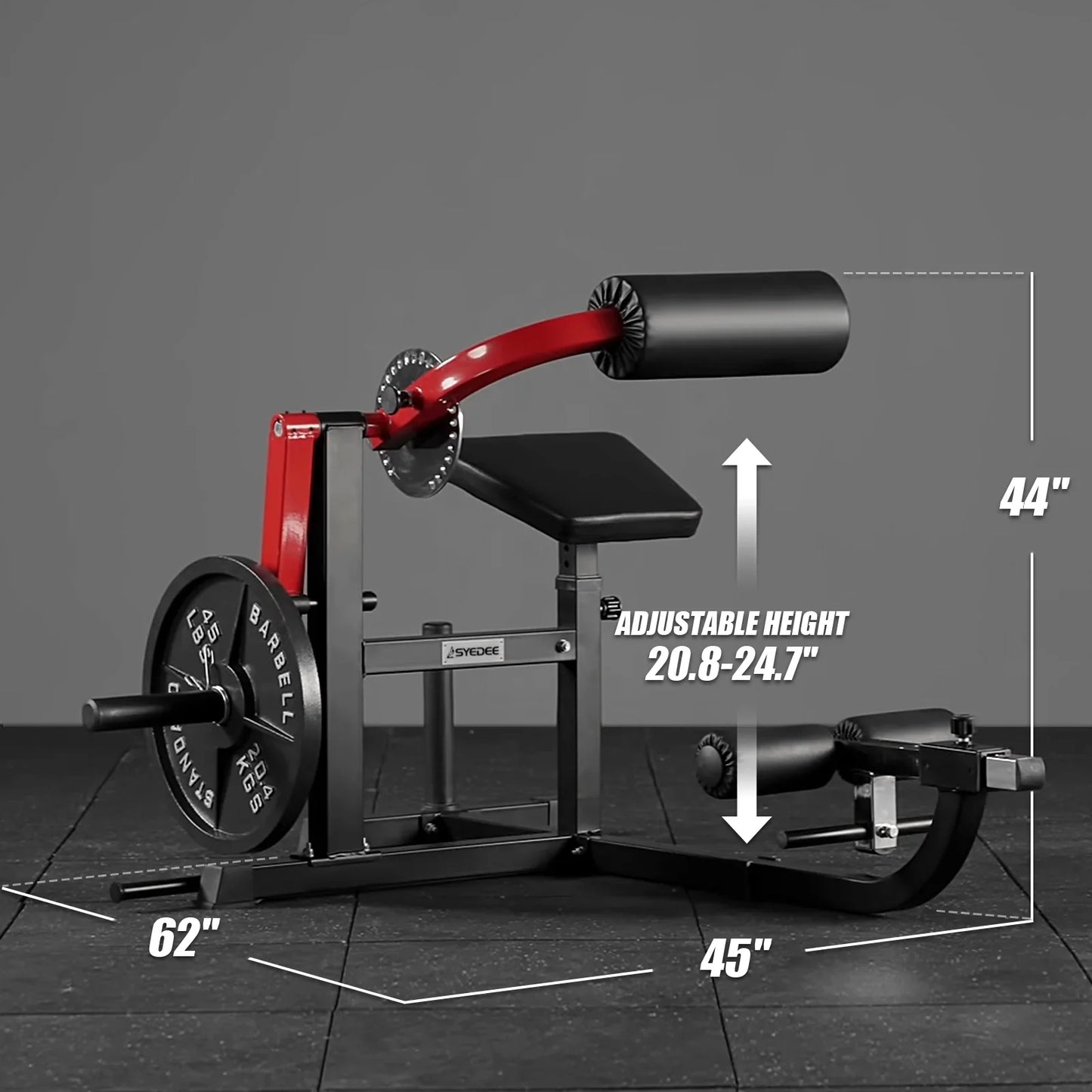 Syedee Seated AB Curl/ Back Extension Machine, Plate Loaded Machine with 450lbs Weight Capacity, Home Gym for Core and Back Training