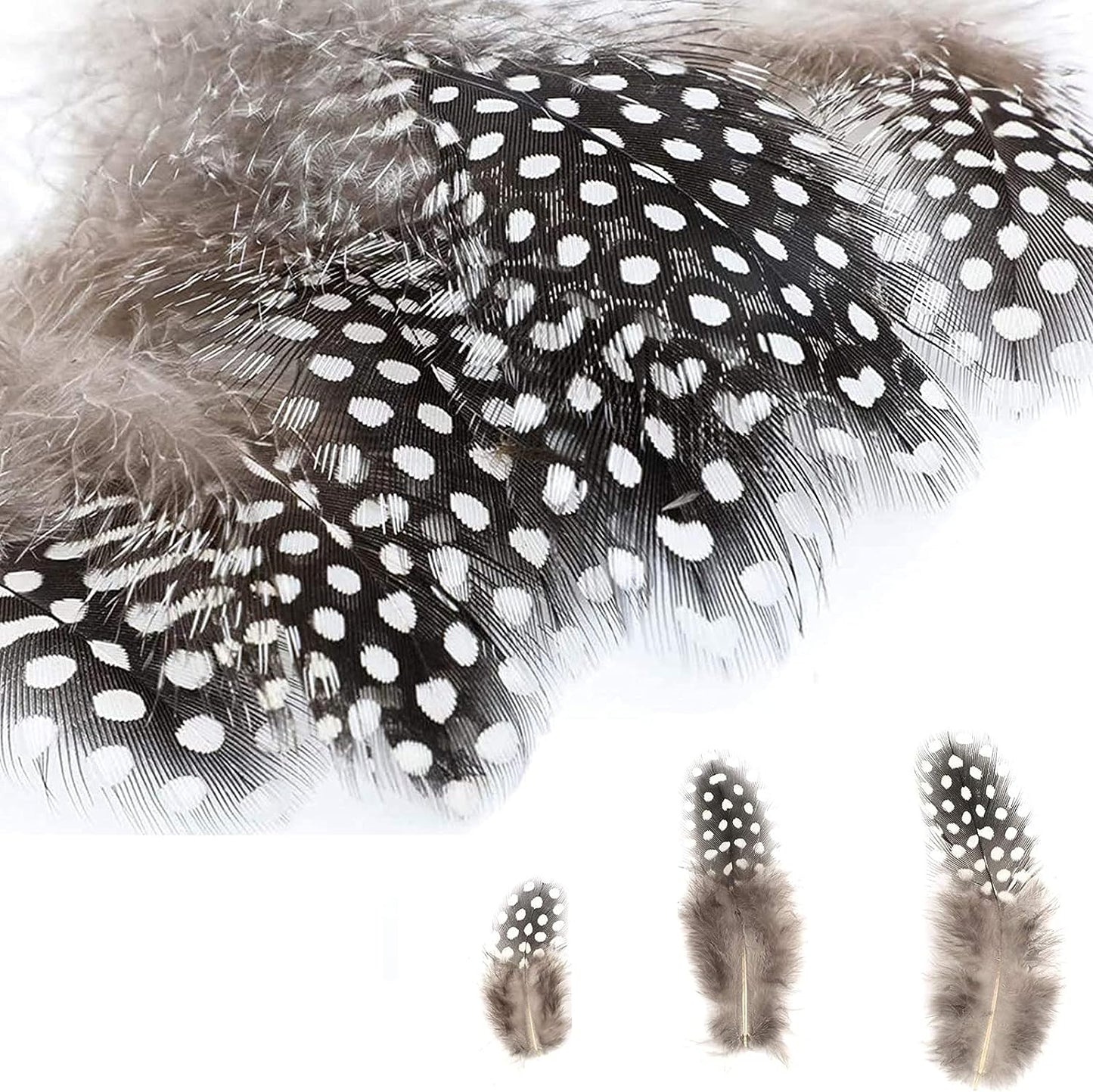 200Pcs Assorted Feathers, 4 Styles Chicken Feathers for DIY Crafts Dream Catcher Halloween Costume Carnival Party Mask Decoration